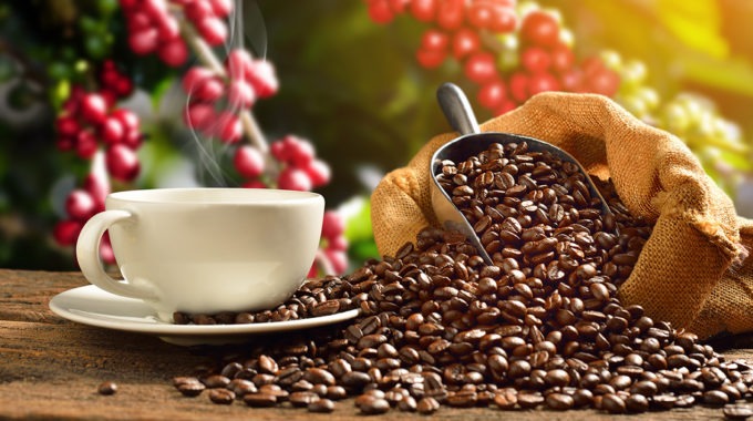 Coffee beans Online