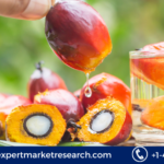 Colombia Palm Oil Market