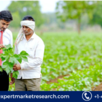 Crop Insurance Market