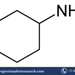 Cyclohexylamine Market