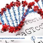 DNA Microarray Market Size