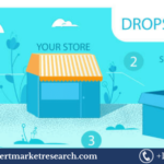 Dropshipping Market