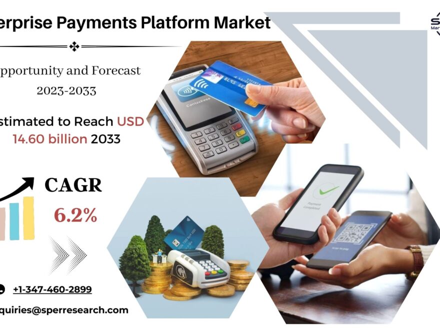 Enterprise Payments Platform Market