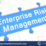 Enterprise Risk Management Market