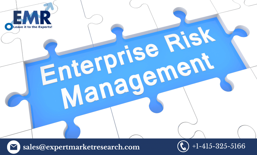 Enterprise Risk Management Market