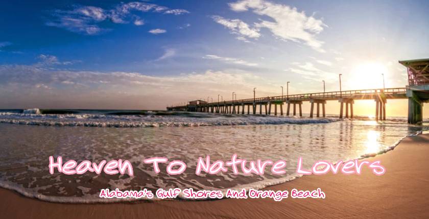 Heaven To Nature Lovers- Alabama's Gulf Shores And Orange Beach