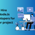 node.js developer