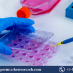 In Vitro Toxicology Testing Market