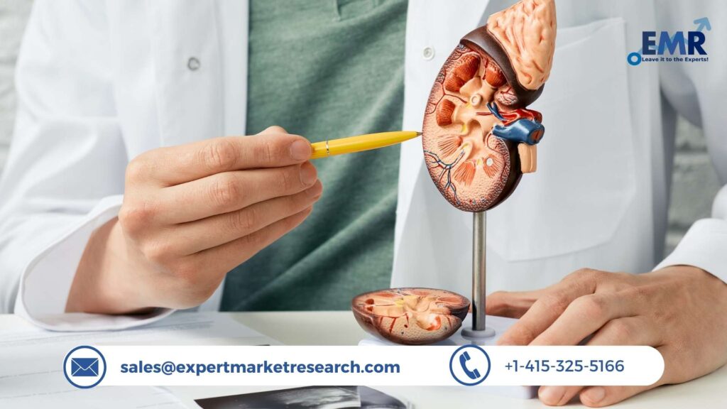 Kidney Stone Management Market Size