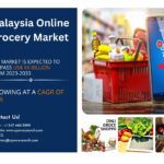 Malaysia Online Grocery Market