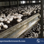 Mushroom Cultivation Market