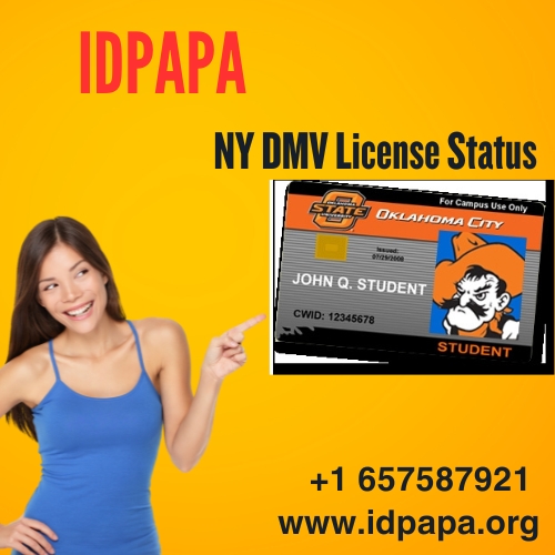 NY Driver License Number