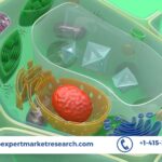 Nanocellulose Market Size