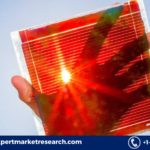 Perovskite Solar Cell Market