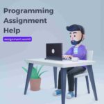 Programming Assignment Help