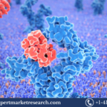 Recombinant Protein Market