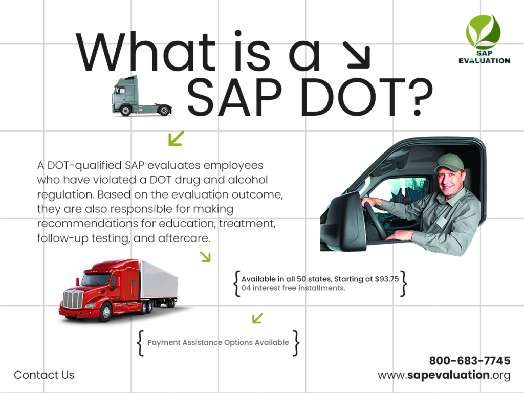 SAP Evaluation