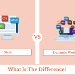 Static vs Dynamic Website What Is The Difference