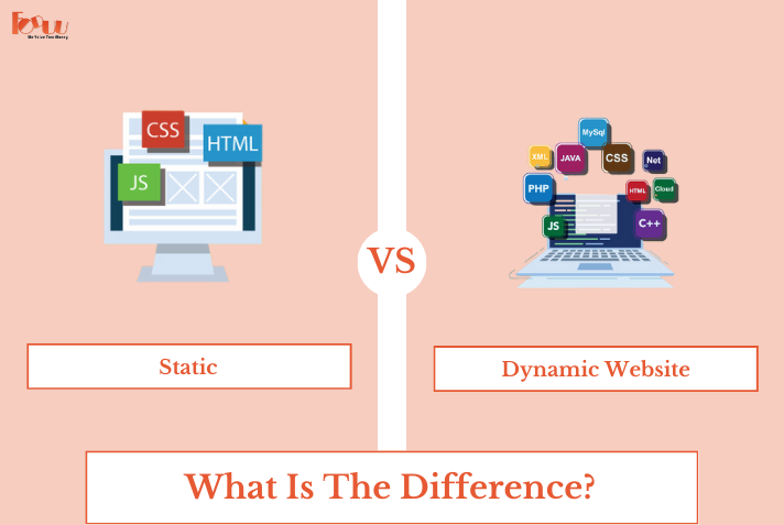 Static vs Dynamic Website What Is The Difference