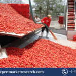 Tomato Processing Market