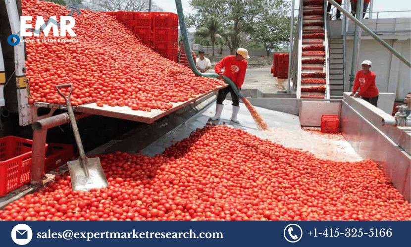 Tomato Processing Market