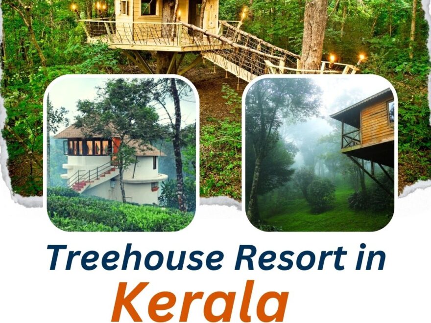 Tree House Resort in Kerala