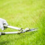 Can Landscaping Design Impact the Health of Your Lawn?