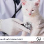 Veterinary Healthcare Market Share