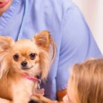 Veterinary Pain Management Market Report, Segments, Industry Growth, Key Players, Forecast 2023-2028