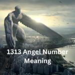 1313 Angel Number Meaning