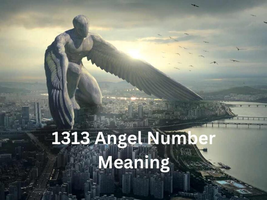 1313 Angel Number Meaning