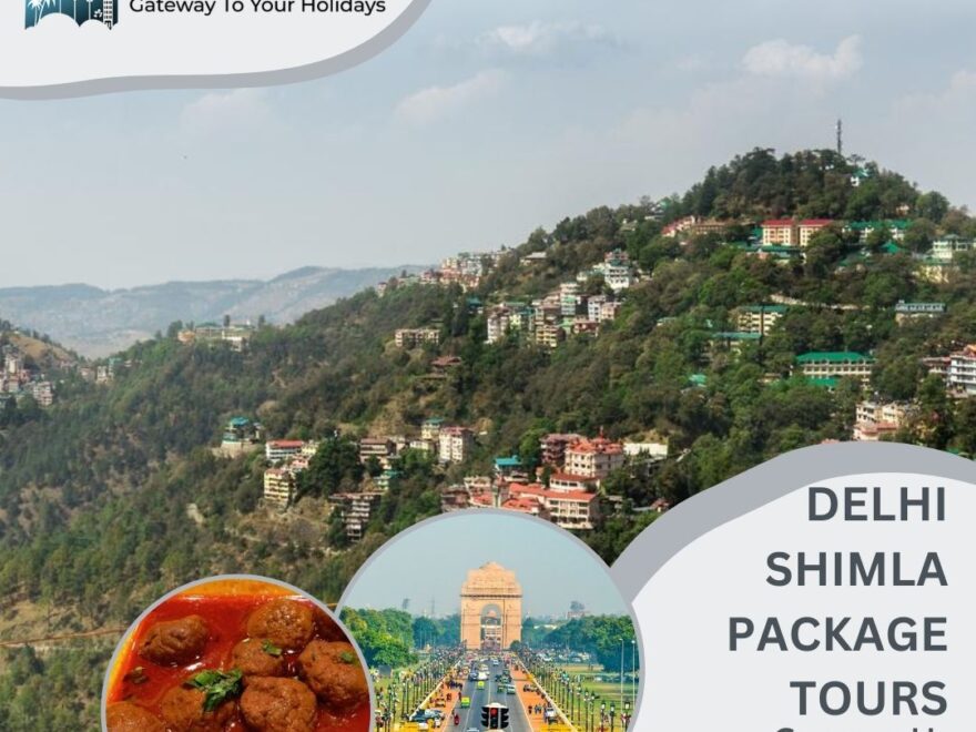 delhi shimla package tours