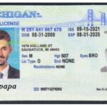 Drivers License Fake