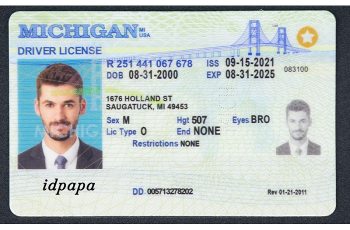 Drivers License Fake