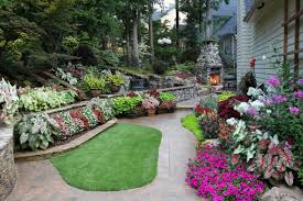 backyard landscape