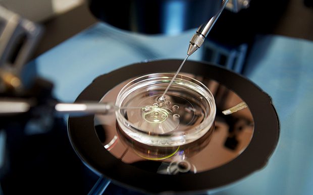 ivf fees in india