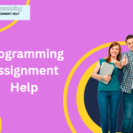 programming assignment help