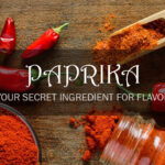 Explore the versatility of paprika in food manufacturing and how it enhances flavors. Discover the spice that adds a delicious twist to your food products.