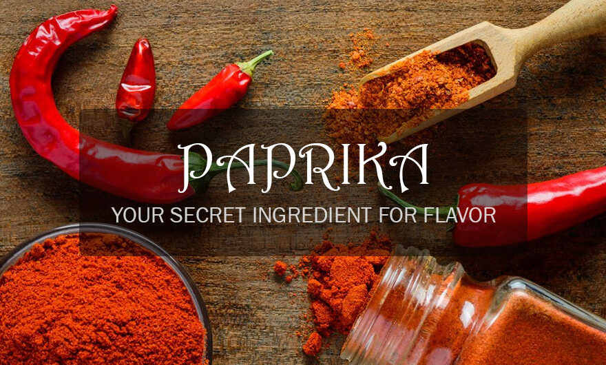 Explore the versatility of paprika in food manufacturing and how it enhances flavors. Discover the spice that adds a delicious twist to your food products.