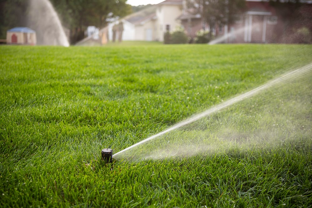 sprinkler installation