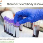 Unlocking the Potential of Antibody Developability Assessment: A Comprehensive Guide