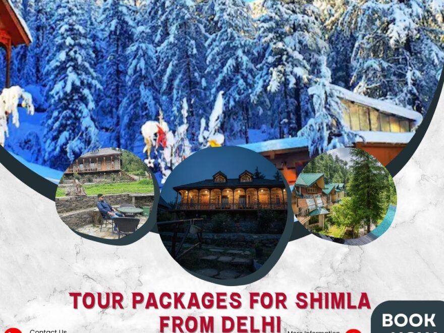 tour packages for shimla from delhi