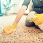 How to Remove Vomit Smell From Carpet