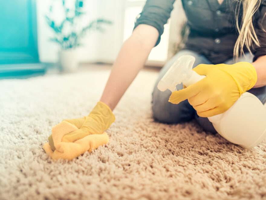 How to Remove Vomit Smell From Carpet