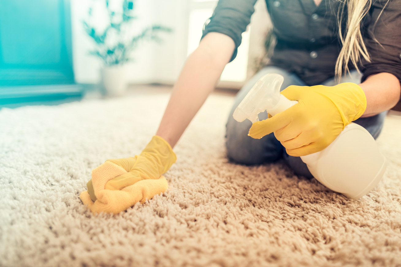 How to Remove Vomit Smell From Carpet