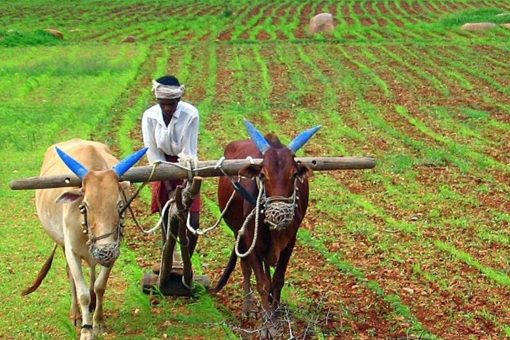 Agriculture Industry in India