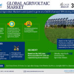 Agrivoltaics Market Future Outlook, Growth Drivers, and Demand Trends | 38% CAGR Growth BY 2027