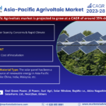 Forecasting the Asia-Pacific Agrivoltaic Market: Trends, Share, and Size for 2028