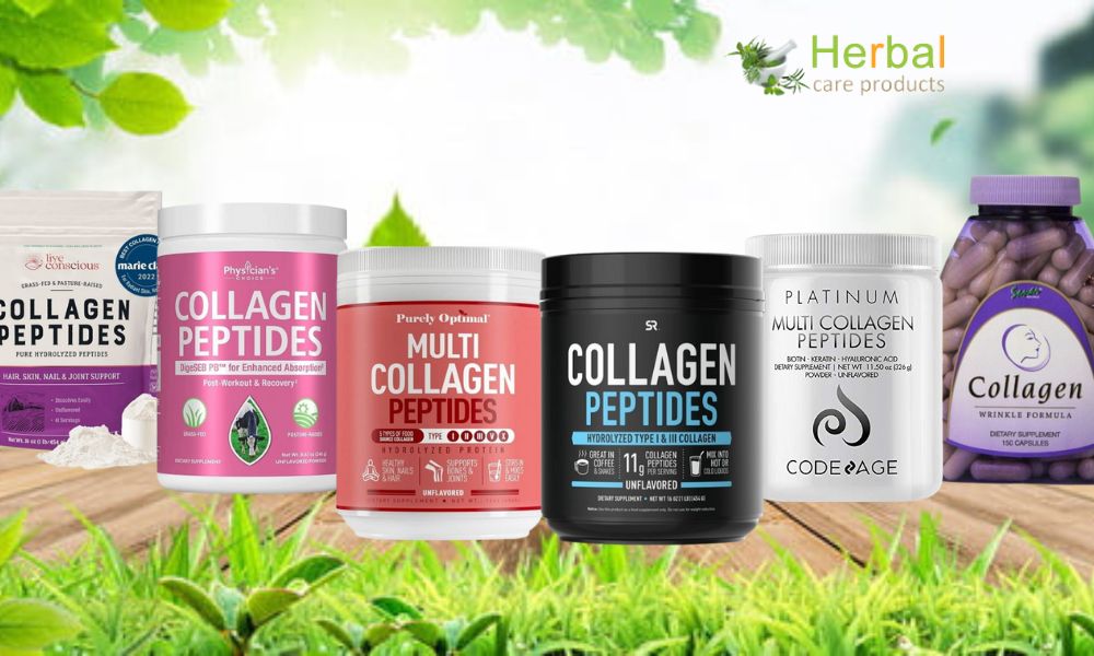 Best Collagen Supplements