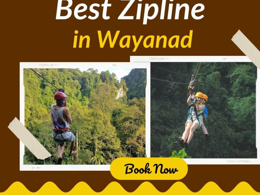 wayanad longest zipline